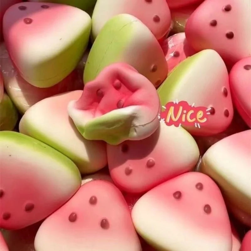 Watermelon Squishy